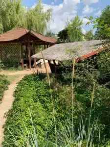 Гостевой дворик - 37
