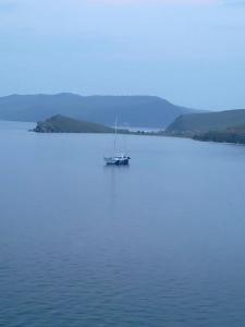 Панорама - 55