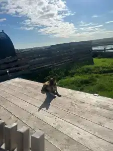 На обрыве - 19