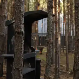 Место под соснами - 49