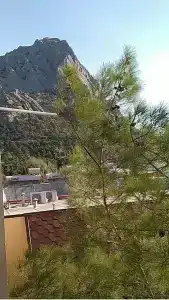 Тихая гавань - 25
