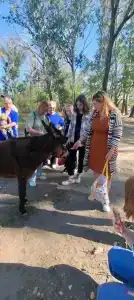 Вертячий - 48