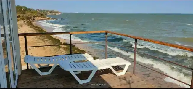 Жемчужный - 72