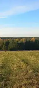 Алексеевское - 26