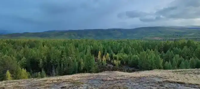 Мир Алтай - 33