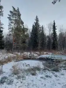Фазенда - 3