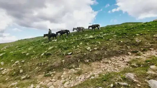 Фишт - 39