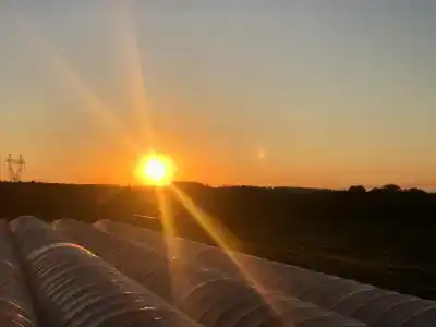 Гектария - 21