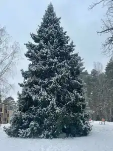 Времена Года - 27