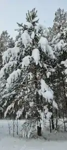 Медвежий угол - Иремель - 23