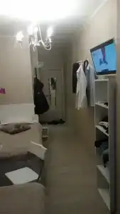 Крокус Стар - 43