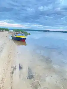 Сосновые дома - 51