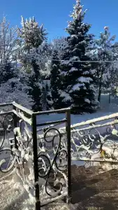 Хорт - 11
