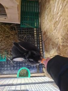 Кроличья нора - 86