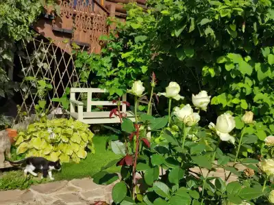 Подворье - 12