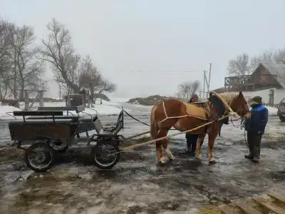 Богатица - 38