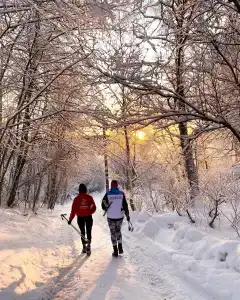 Хутор Верхутино - 2