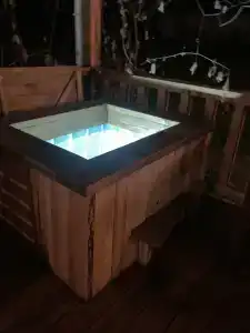 Пенеснарь - 60