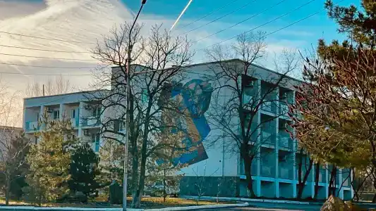 Чайка - 22