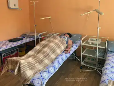Лесная поляна - 34