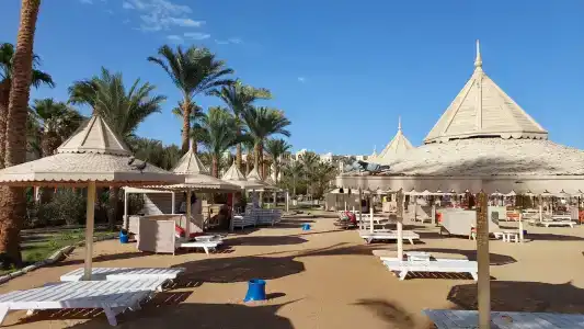 The Grand Resort - 98