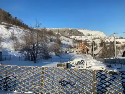 Василиса - 8