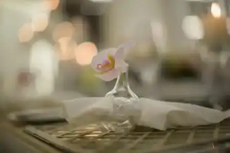 Hilton Istanbul Bomonti - 65