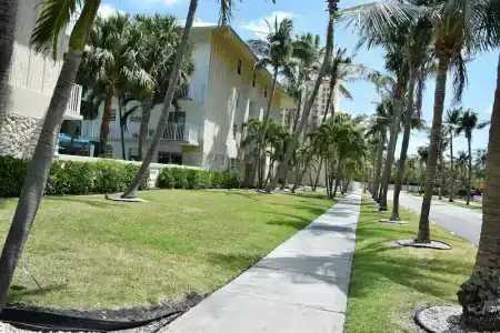 Coral Reef at Key Biscayne - 18