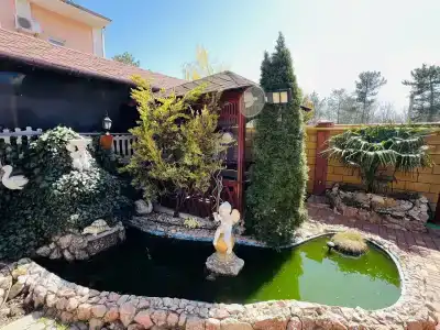 Золотой лев - 24