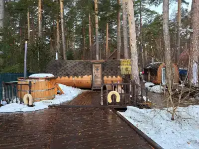 Дача в соснах - 26