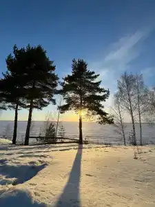 В гостях у сказки - 8