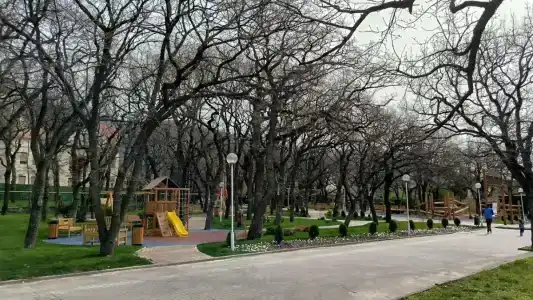Мечта - 60
