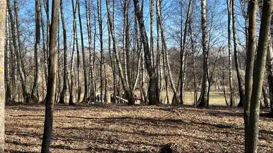 Ёжик в тумане - 4