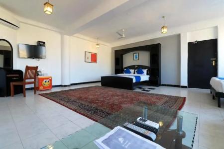 Dodas Palace by ShriGos - 79