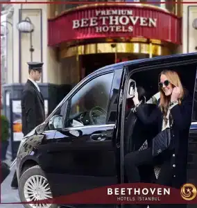 Beethoven - Special Category - 8
