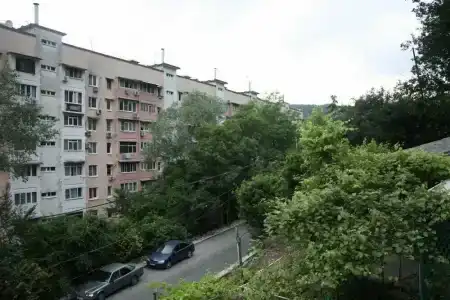 Адель - 1