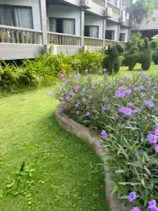 Botany Beach Resort - 47