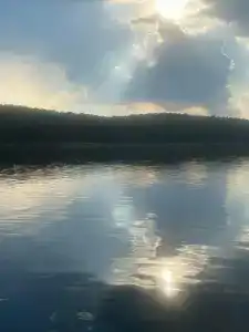 Бунчук - 67