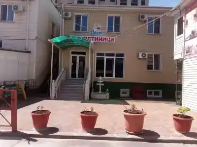 Оазис - 0
