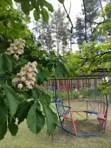 Детский санаторий имени Менжулина - 32