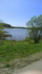 Мордвес - 50