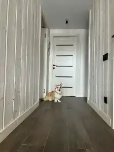 Лунный свет - 56