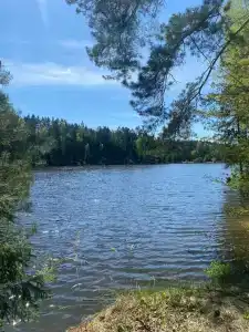 Железинка - 29