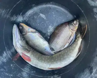 Дом на Воде в Заречном - 13