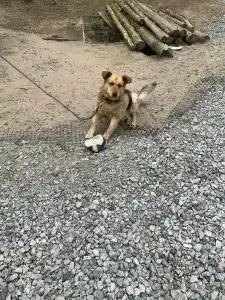 Усадьба на Шамокше - 95