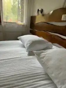 Гуси-Лебеди - 21