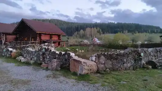 Тайга - 78