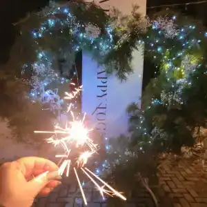 Сосновый бор - 17