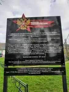 Демянск - 8