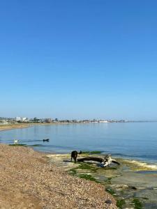 Пальмира - 7